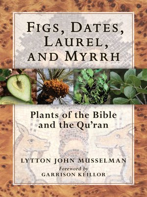 cover image of Figs, Dates, Laurel, and Myrrh